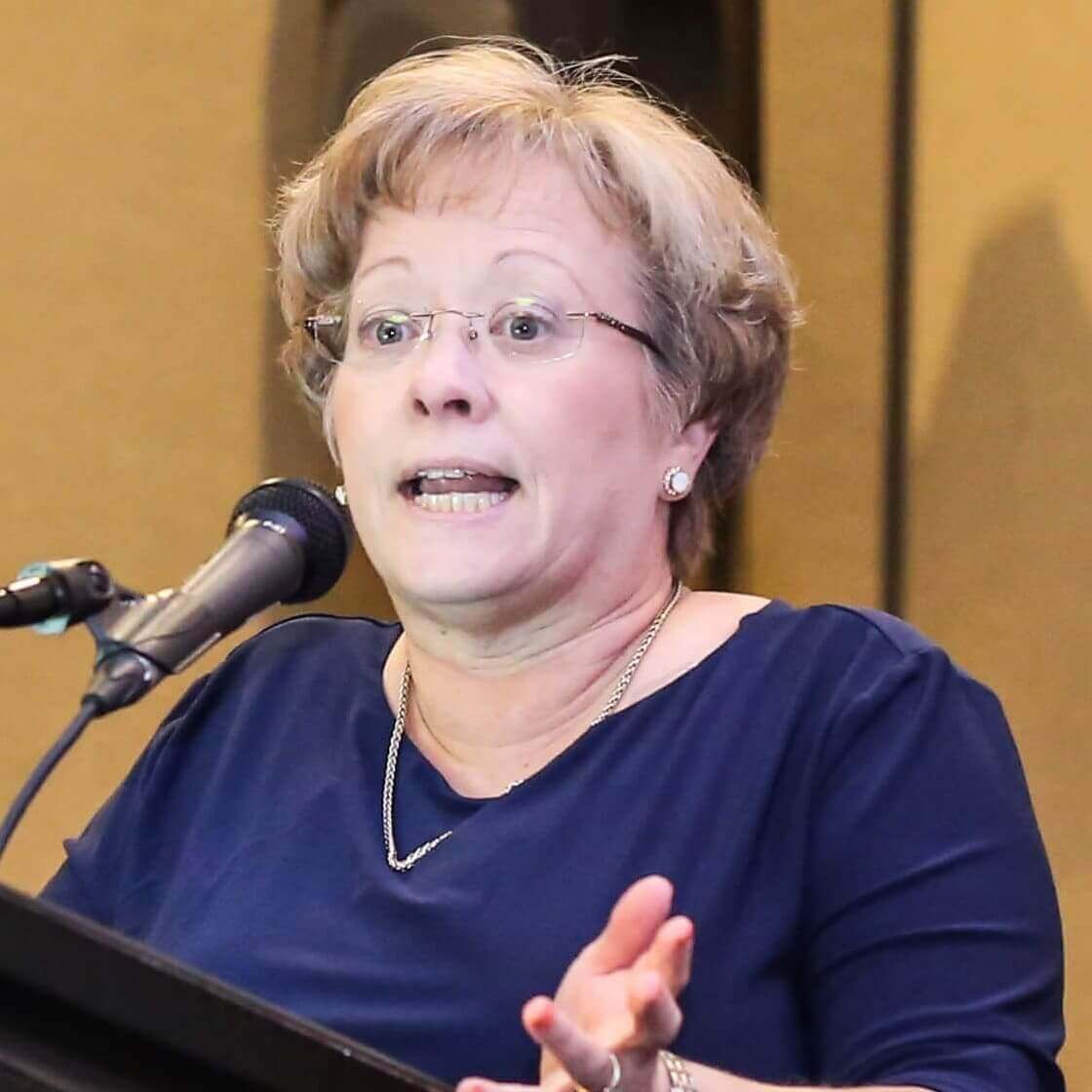 Speaker at Nursing conferences